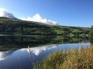 Mindfulness-course-trigonos
