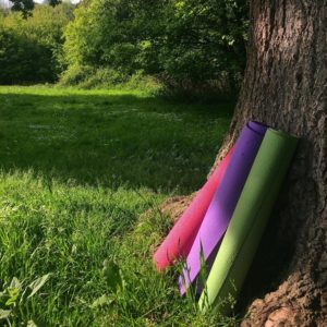 Yoga mats leaning on a tree